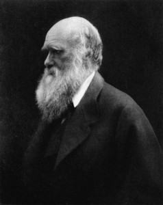 Charles Darwin in 1868. The white-bearded patriarch that haunts every creationist and reason-denier. By Julia Margaret Cameron, Wikimedia Commons.